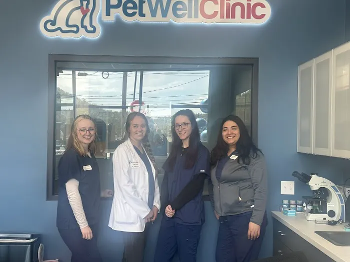 PetWellClinic - Plum Picture 3