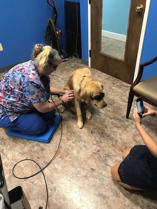 Holiday Park Animal Hospital Picture 2