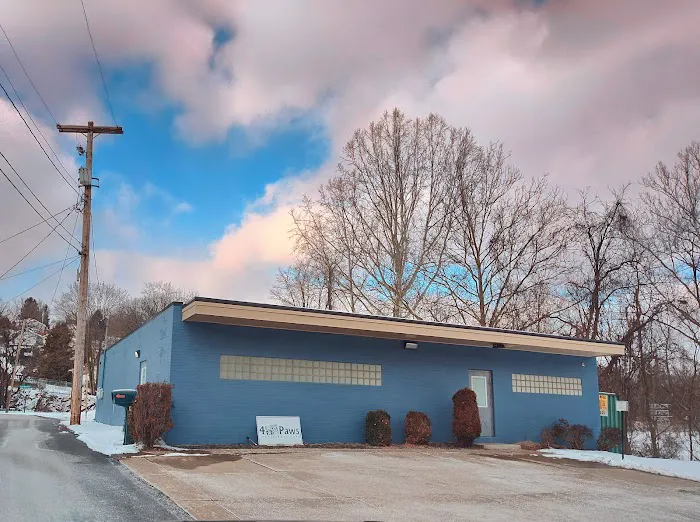 4 Paws Veterinary Care Inc Picture 10