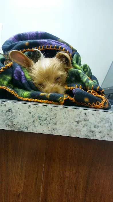4 Paws Veterinary Care Inc Picture 3
