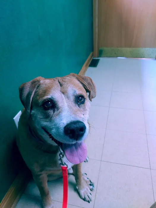 AVS Mountainland Animal Hospital Picture 2