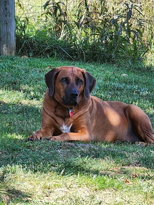 AVS Mountainland Animal Hospital Picture 8