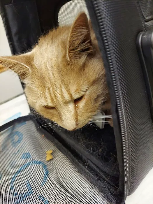 Blout Veterinary Picture 4