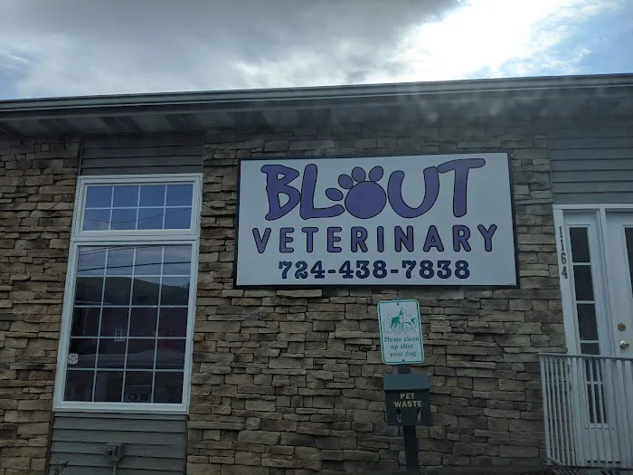 Blout Veterinary Picture 1