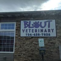 Blout Veterinary ico