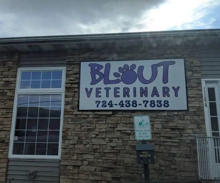 Blout Veterinary