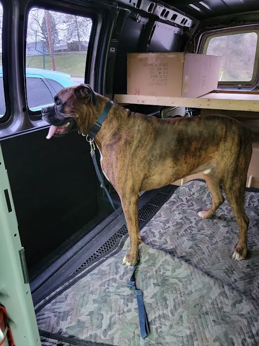 Blout Veterinary Picture 10