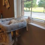 Copper Ridge Veterinary Clinic