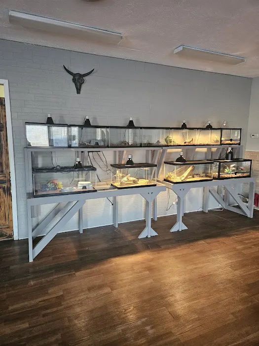 The Raging Reptile Room Picture 2