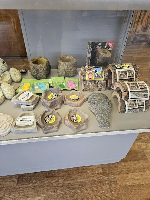 The Raging Reptile Room Picture 8
