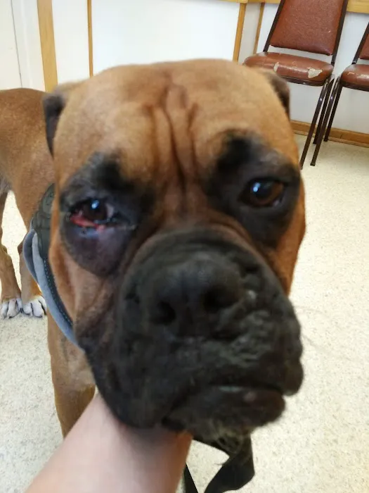Grace Veterinary Services Picture 6