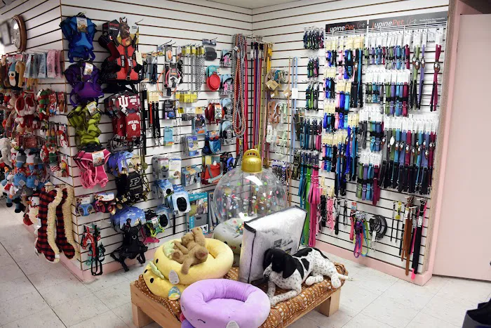 Paws and Claws & Company Picture 8