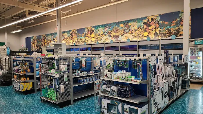 Petco Picture 4