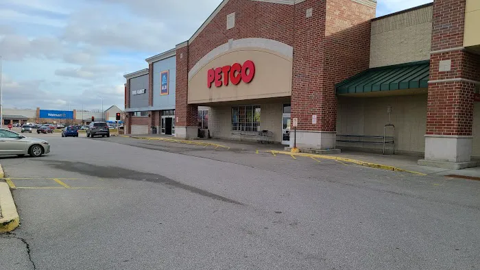 Petco Picture 2