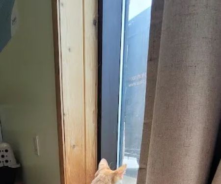 Alpha Veterinary Services