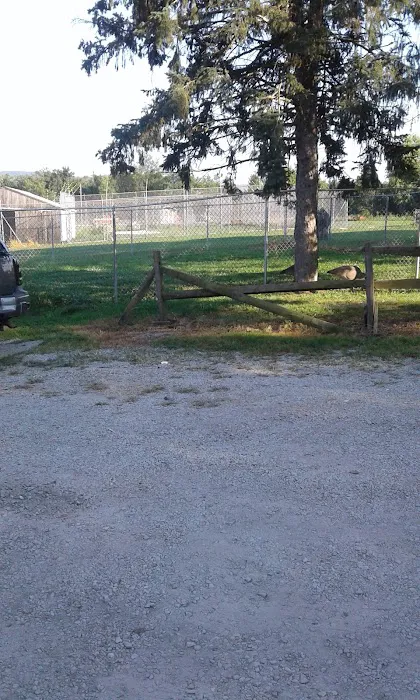 Camelot Veterinary Services Picture 1