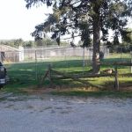 Camelot Veterinary Services