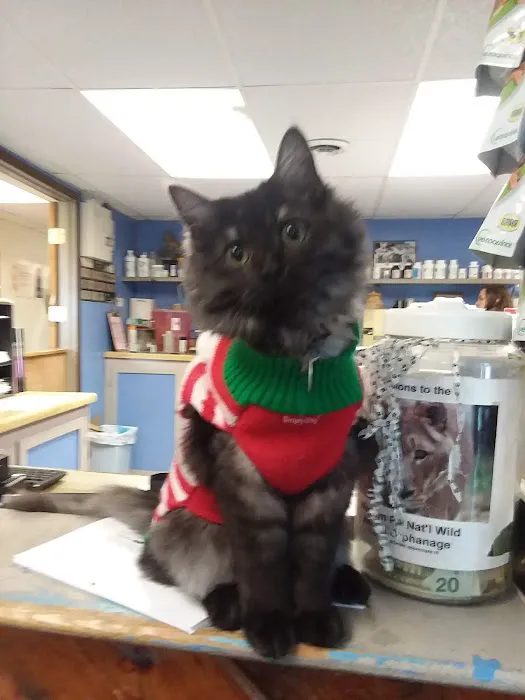 Camelot Veterinary Services Picture 9