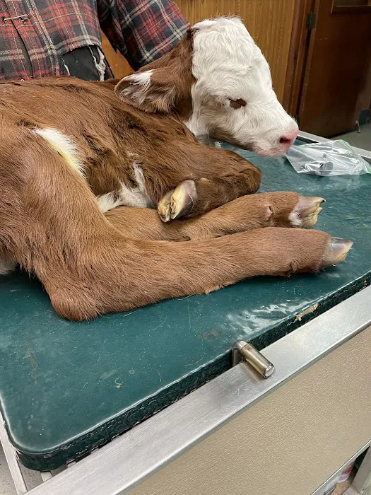 Duck Hollow Animal Hospital Picture 6