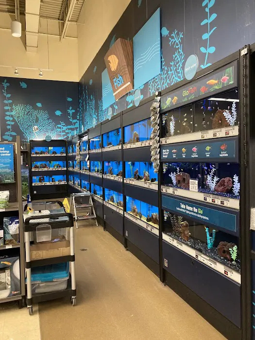 Petco Picture 6