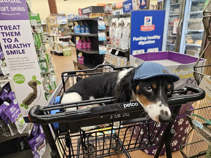Petco Picture 10