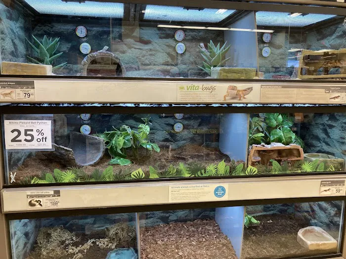 Petco Picture 4