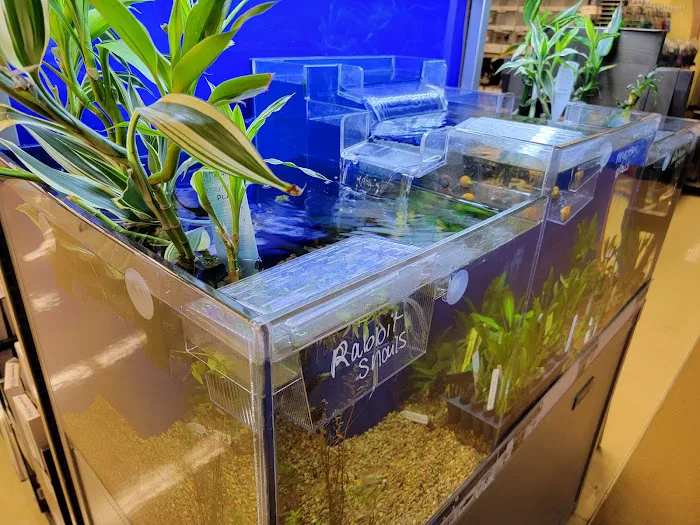 Petco Picture 1