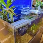 Petco