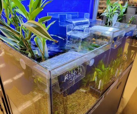 Petco