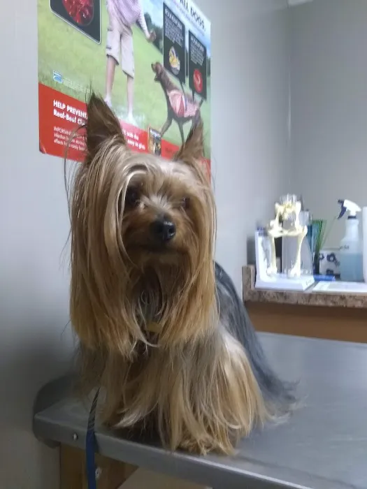 Rolling Hills Veterinary Clinic Picture 6