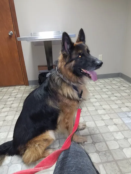 Rolling Hills Veterinary Clinic Picture 1