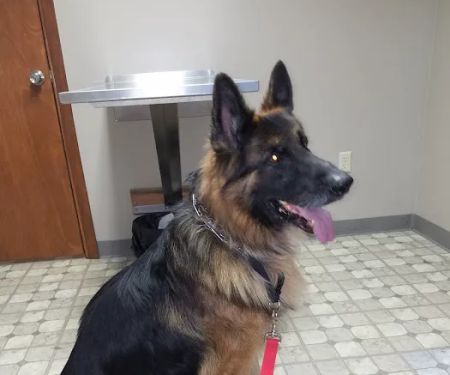 Rolling Hills Veterinary Clinic