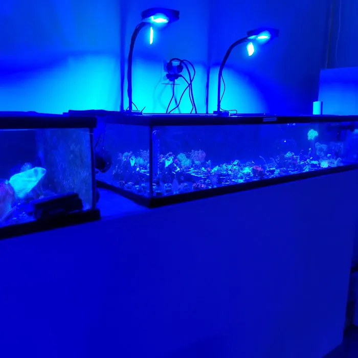 Wet Dreams Aquatics Picture 6
