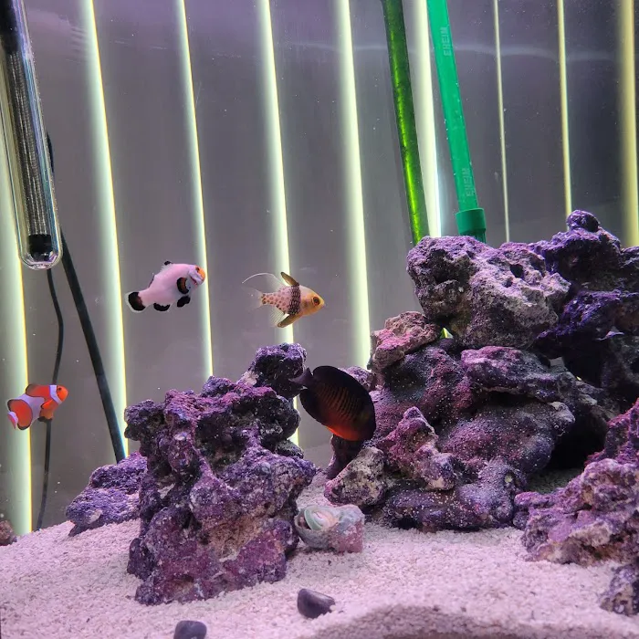 Wet Dreams Aquatics Picture 7