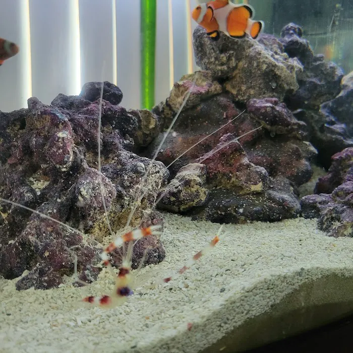 Wet Dreams Aquatics Picture 3