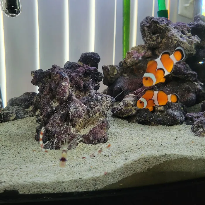 Wet Dreams Aquatics Picture 4
