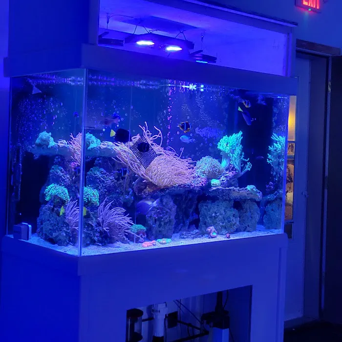 Wet Dreams Aquatics Picture 1