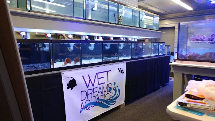 Wet Dreams Aquatics Picture 9
