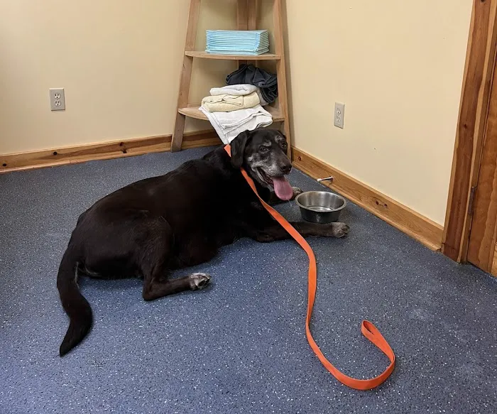 Cheat Lake Animal Hospital Picture 5