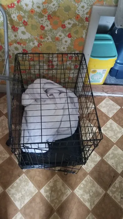 Puppyworld Picture 8