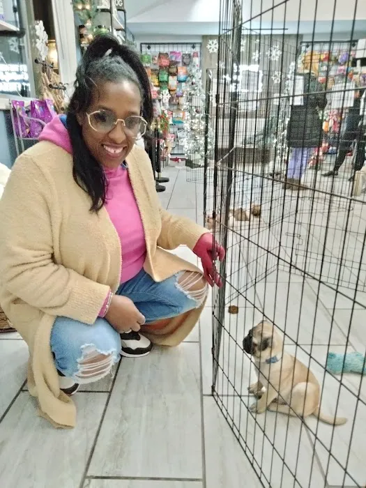 Puppyworld Picture 3