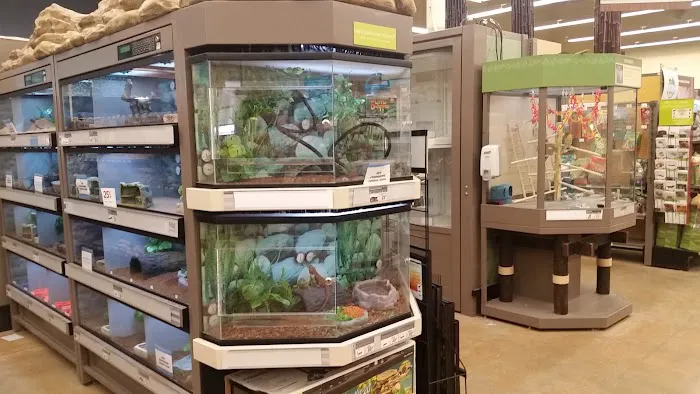 Petco Picture 2
