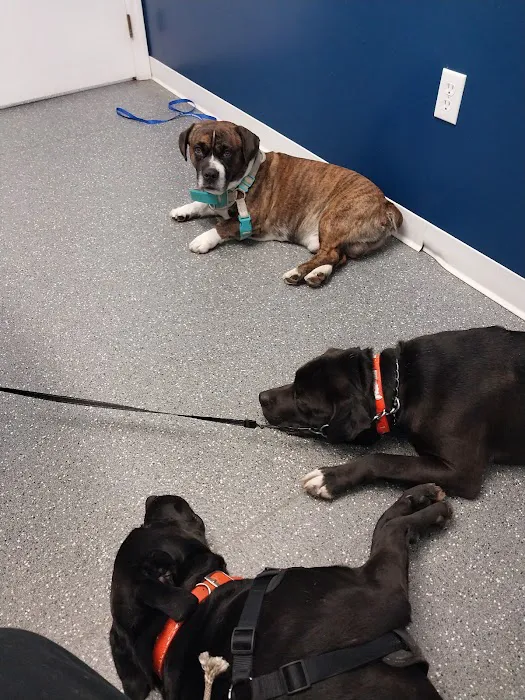 Point Marion Veterinary Care Picture 3
