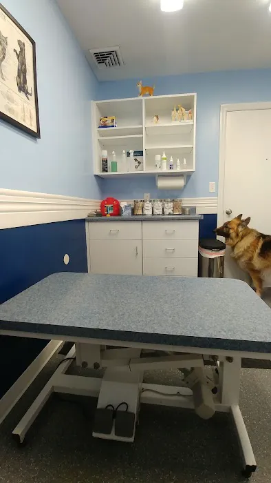 Point Marion Veterinary Care Picture 6