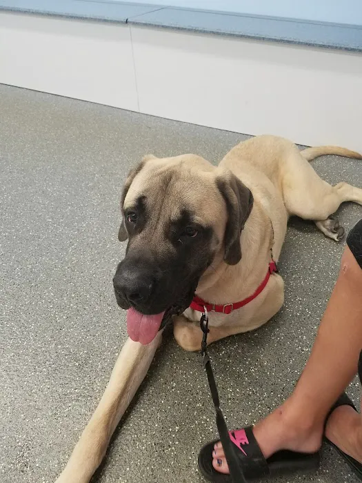 Point Marion Veterinary Care Picture 4