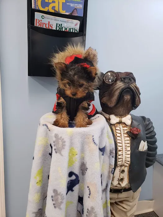 Point Marion Veterinary Care Picture 8