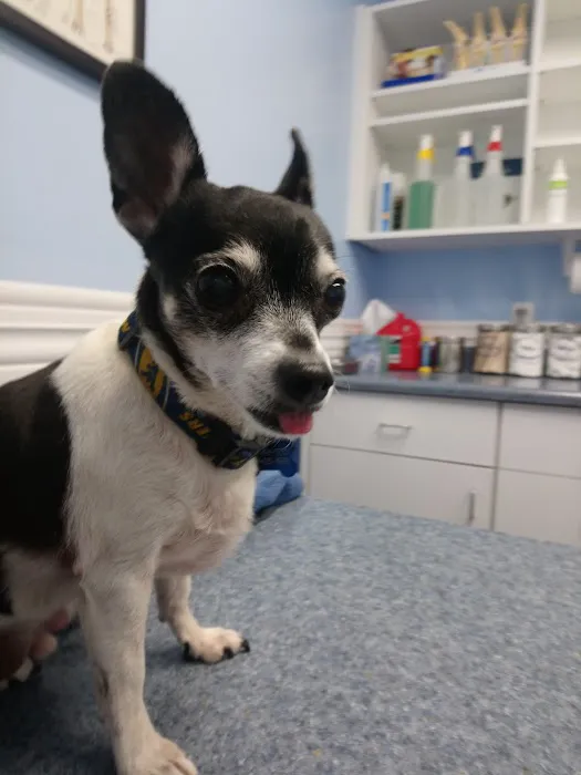Point Marion Veterinary Care Picture 7