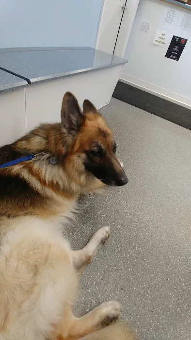 Point Marion Veterinary Care Picture 5