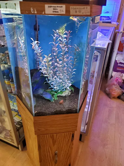 Milwaukee Aquatics Picture 8