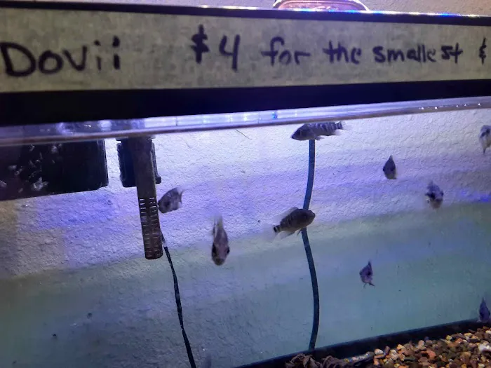 Milwaukee Aquatics Picture 6